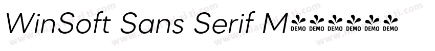 WinSoft Sans Serif M字体转换